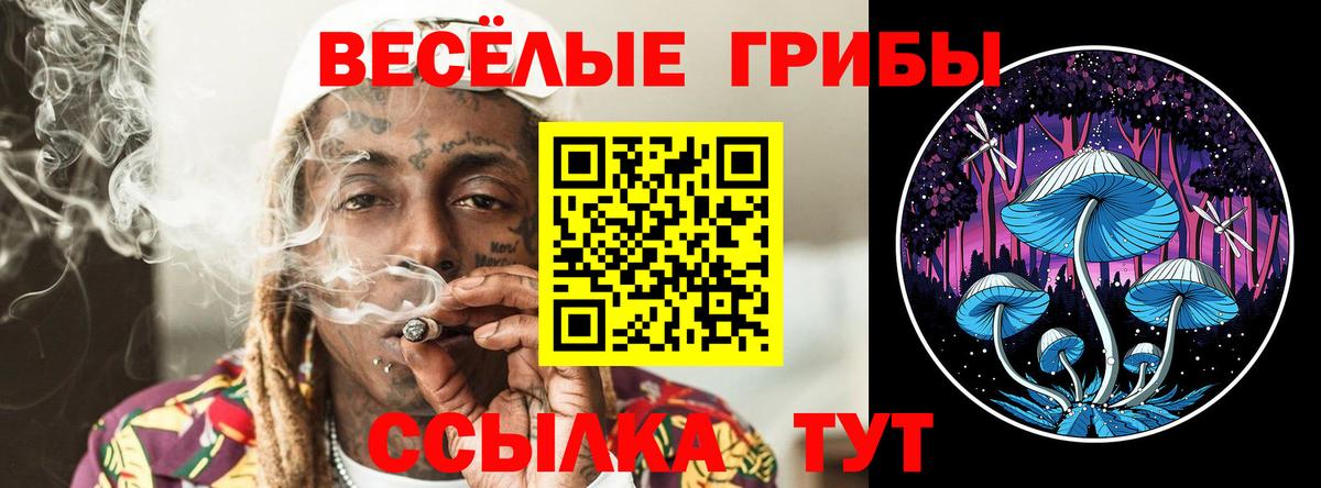 Псилоцибиновые грибы Psilocybine cubensis  Вход с VPN  Выкса  Галлюциногенные грибы MAGIC MUSHROOMS 